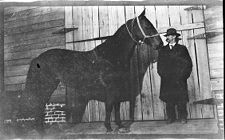 Negatives of agriculture and animals