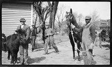 Negatives of agriculture and animals