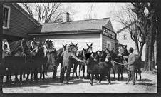 Negatives of agriculture and animals
