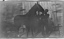 Negatives of agriculture and animals