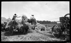 Negatives of agriculture and animals