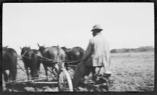 Negatives of agriculture and animals