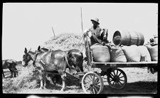 Negatives of agriculture and animals