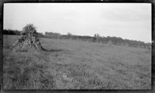 Negatives of agriculture and animals