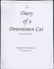 Diary of a downtown cat