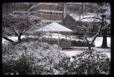 Snow Day on Campus