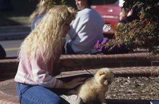 Student petting dog