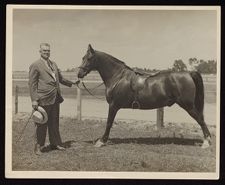 Photographs of Quinerly family members, Farmville, N.C.