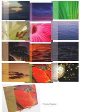 2011 calendar of photography