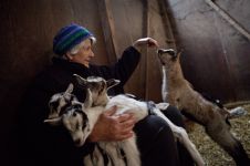 Leslie and her goats