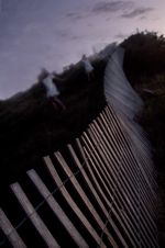 Fence