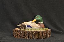 Mr. Greenhead
