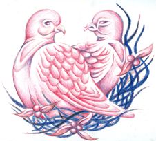 Two Turtle Doves