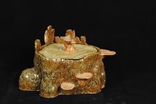 The Stump