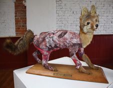 Taxidermy fox