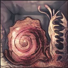 Croco-snail 2