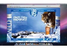 Wild Cat beer website