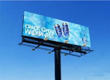 Wild Cat beer billboard version 1