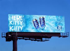 Wild Cat beer billboard version 2