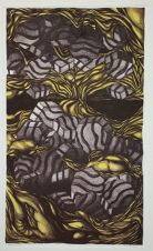 Zebra cakes
