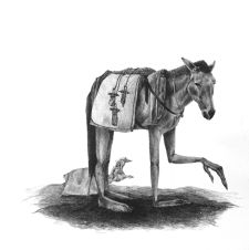 Baggage
