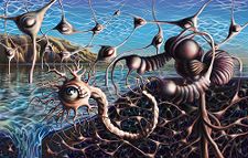 Unconscious mind