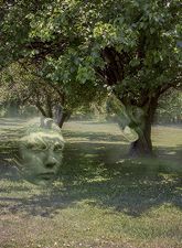 Rift