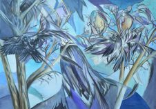 Murder of crows