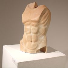 Male torso