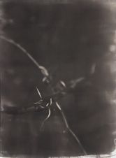 Scrutiny