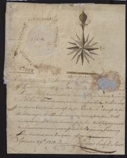 Taylor Family Papers