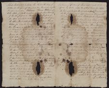 Taylor Family Papers