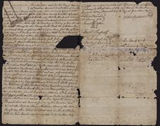Taylor Family Papers