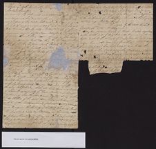 Taylor Family Papers
