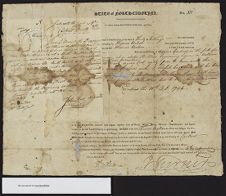 Taylor Family Papers