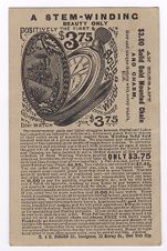 Taylor Family Papers