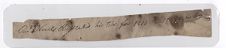Taylor Family Papers
