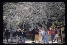 Students walking to class