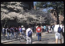 Students walking on campus