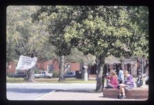 Students sitting outside on campus