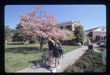 Students walking on campus