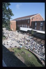 Students walking on campus