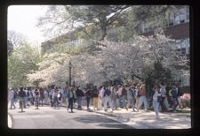 Students walking to class