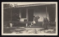 Photograph