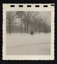 Campus mall in winter