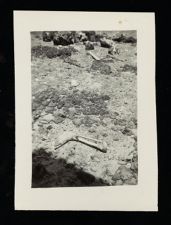 Item 5