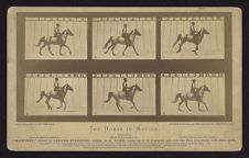 The Horse in Motion.  "Mahomet," owned by Leland Stanford: cantering at an 8 minute gait over the Palo Alto track, 17th June, 1878.