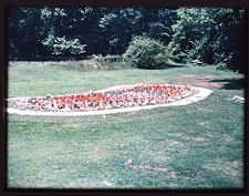 Slide of flowers on campus