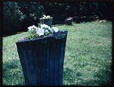 Slide of flowers on campus