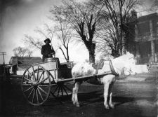 Man and horse-drawn cart